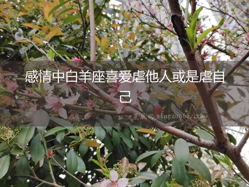 感情中白羊座喜愛虐他人或是虐自己
