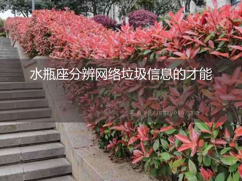 水瓶座分辨網絡垃圾信息的才能