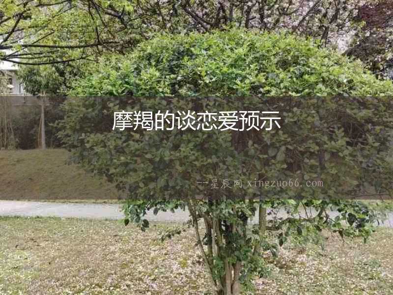 摩羯的談戀愛預示