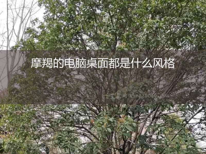 摩羯的電腦桌面都是什么風格