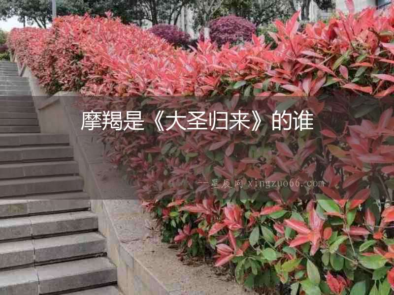 摩羯是《大圣歸來》的誰