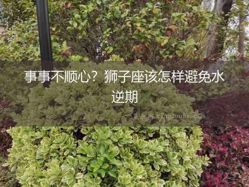 事事不順心？獅子座該怎樣避免水逆期