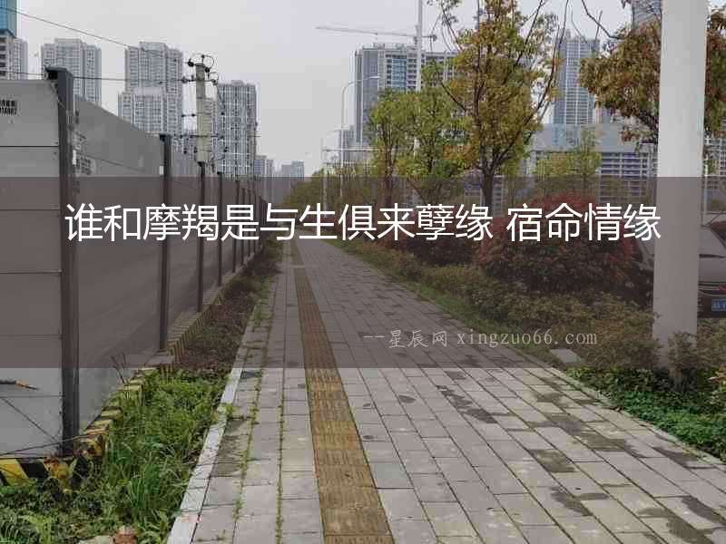 誰和摩羯是與生俱來孽緣 宿命情緣
