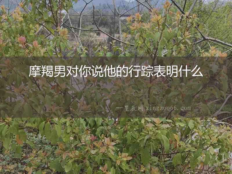 摩羯男對你說他的行蹤表明什么