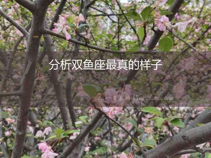 分析雙魚座最真的樣子