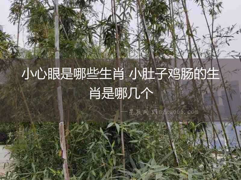 小心眼是哪些生肖 小肚子雞腸的生肖是哪幾個