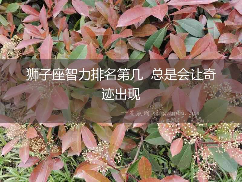 獅子座智力排名第幾  總是會讓奇跡出現