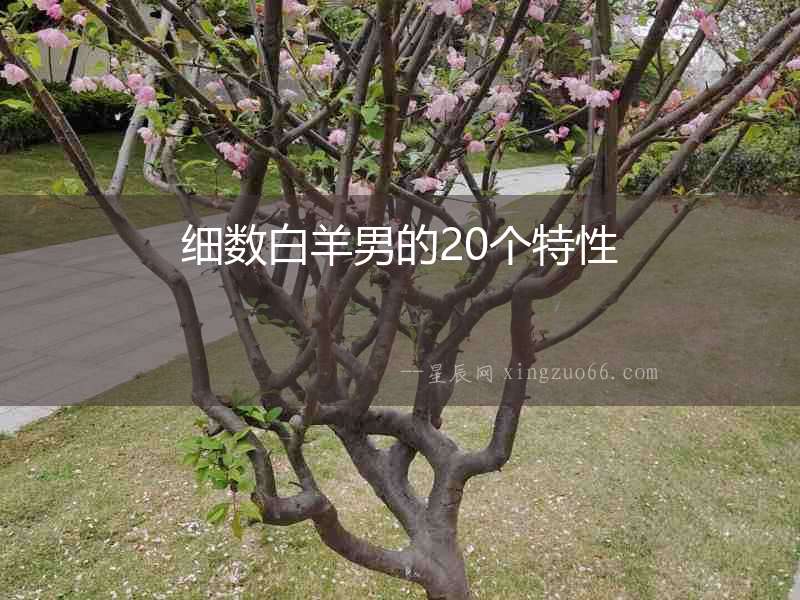 細(xì)數(shù)白羊男的20個(gè)特性