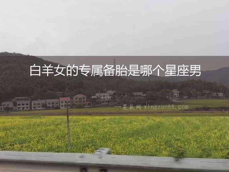 白羊女的專屬備胎是哪個星座男