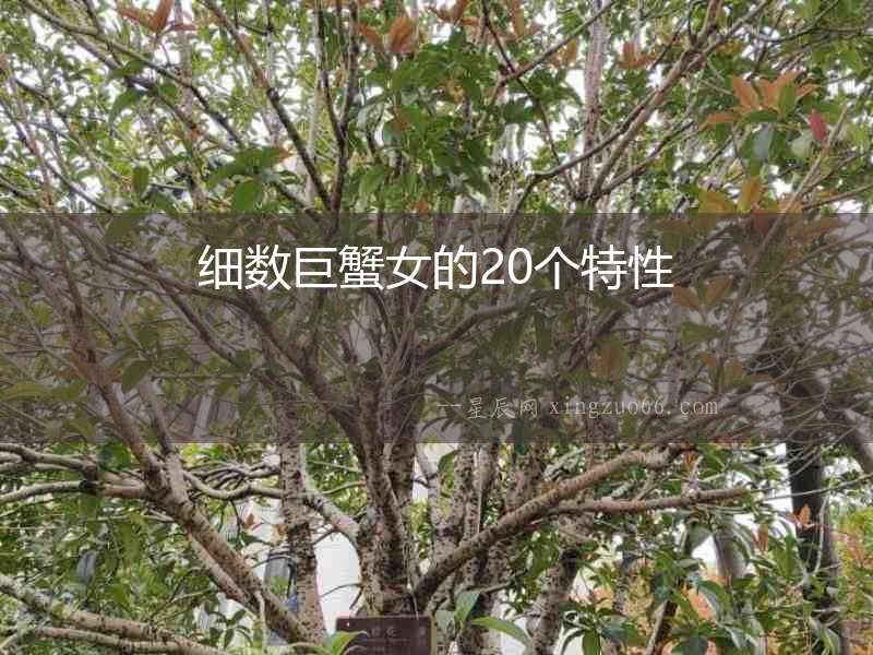 細數巨蟹女的20個特性