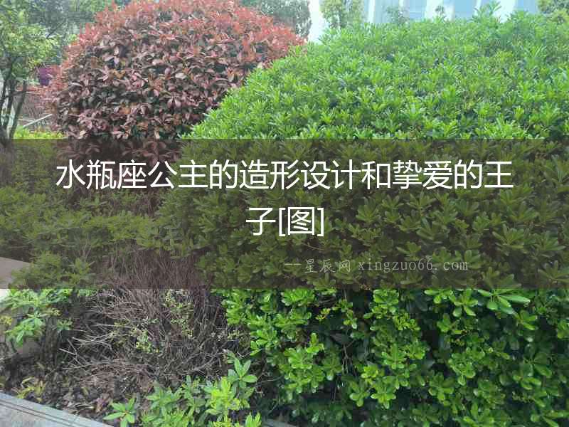 水瓶座公主的造形設(shè)計(jì)和摯愛(ài)的王子[圖]