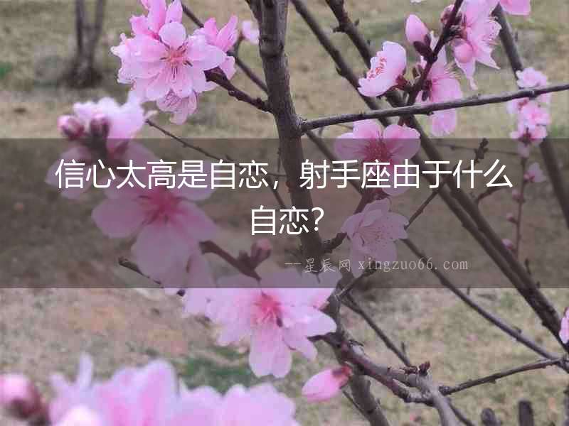 信心太高是自戀，射手座由于什么自戀？
