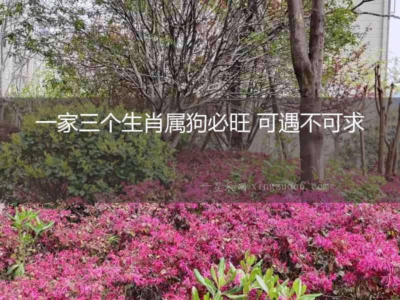 一家三個生肖屬狗必旺 可遇不可求