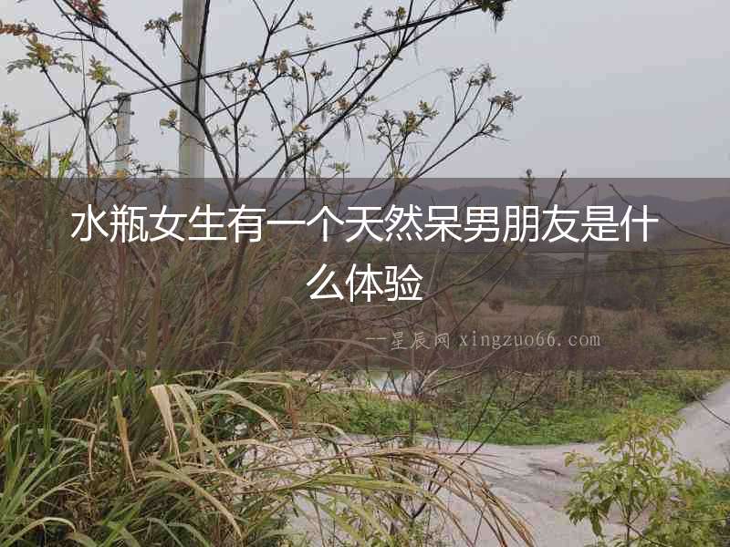 水瓶女生有一個天然呆男朋友是什么體驗