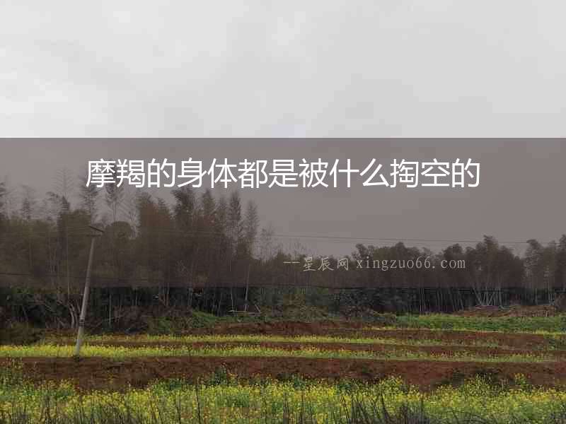摩羯的身體都是被什么掏空的