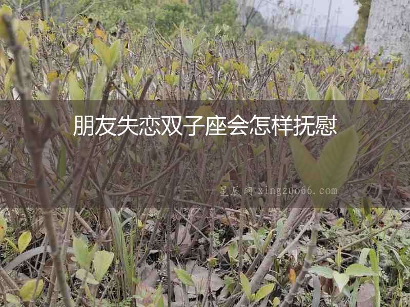 朋友失戀雙子座會(huì)怎樣撫慰
