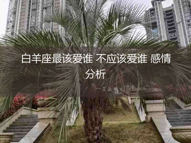 白羊座最該愛(ài)誰(shuí) 不應(yīng)該愛(ài)誰(shuí) 感情分析