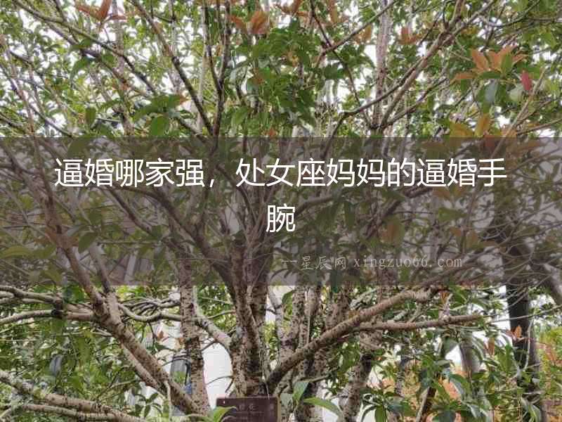 逼婚哪家強，處女座媽媽的逼婚手腕