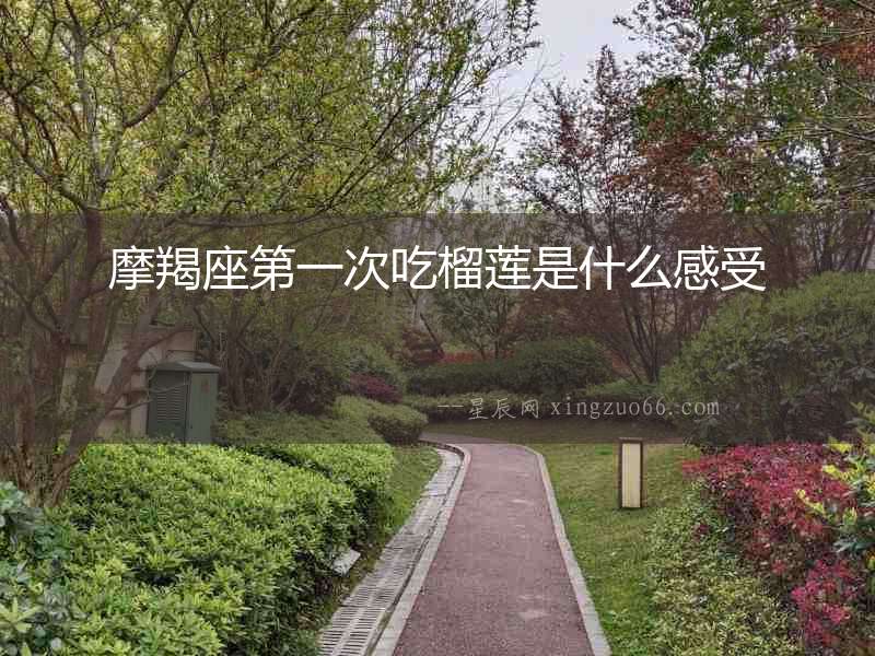 摩羯座第一次吃榴蓮是什么感受