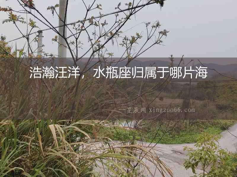 浩瀚汪洋，水瓶座歸屬于哪片海