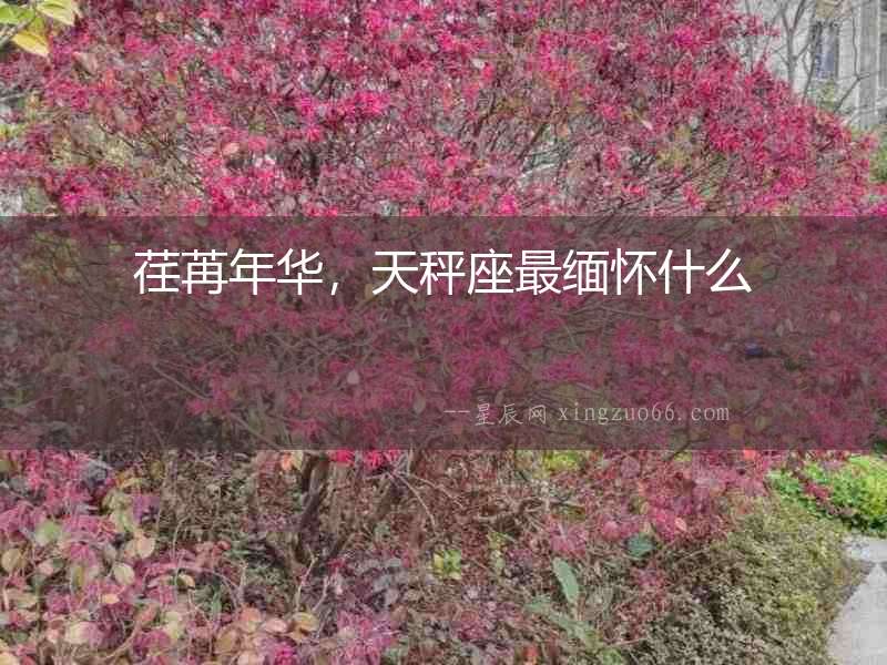 荏苒年華，天秤座最緬懷什么