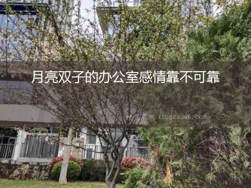 月亮雙子的辦公室感情靠不可靠
