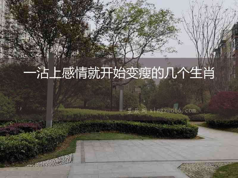 一沾上感情就開始變瘦的幾個生肖