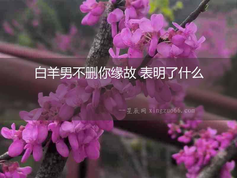 白羊男不刪你緣故 表明了什么