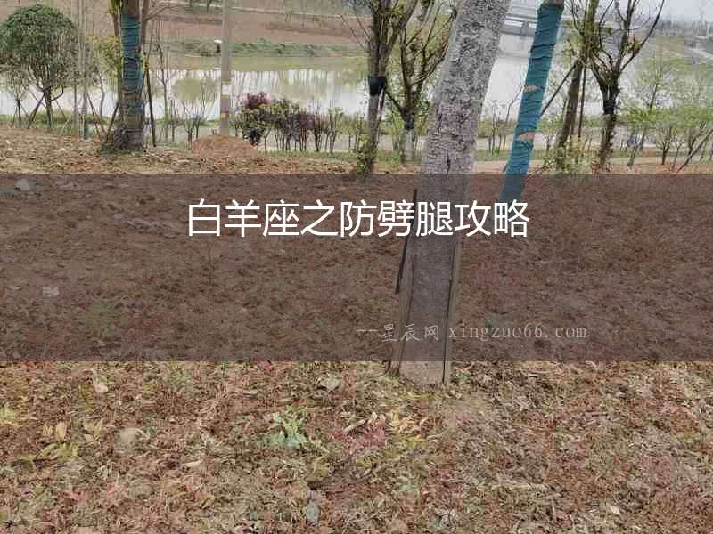 白羊座之防劈腿攻略