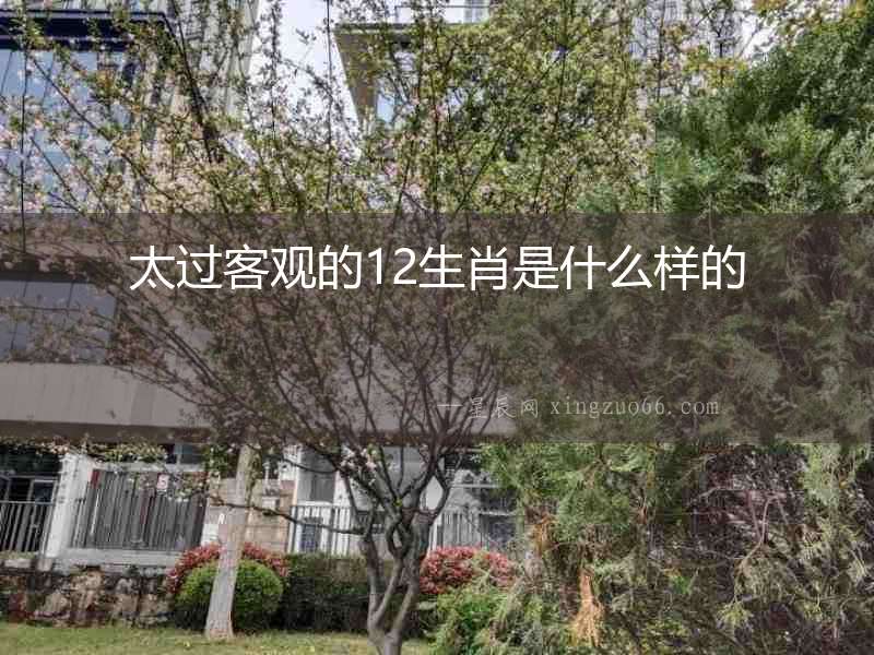 太過客觀的12生肖是什么樣的