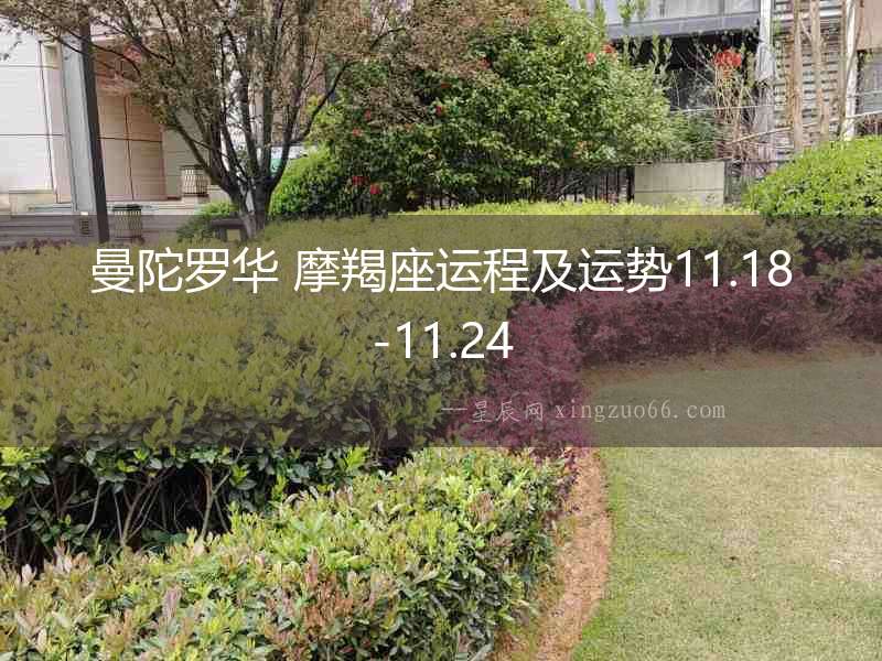 曼陀羅華 摩羯座運程及運勢11.18-11.24