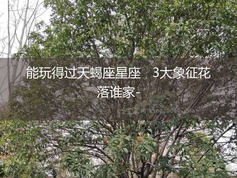 能玩得過(guò)天蝎座星座   3大象征花落誰(shuí)家-