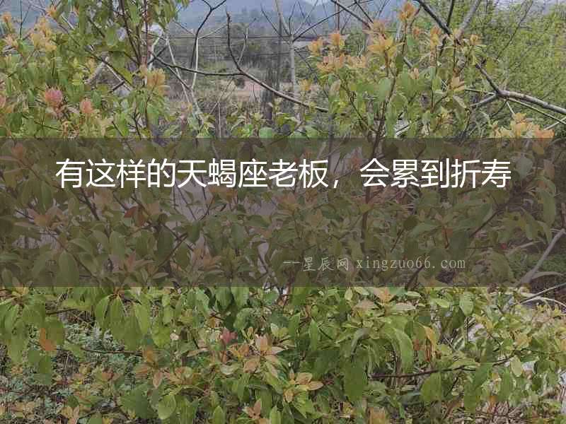 有這樣的天蝎座老板，會(huì)累到折壽