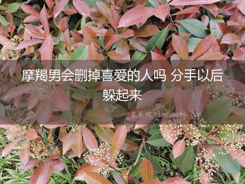 摩羯男會(huì)刪掉喜愛(ài)的人嗎 分手以后躲起來(lái)