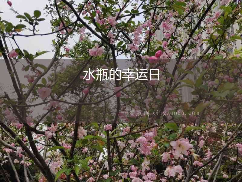 水瓶的幸運日