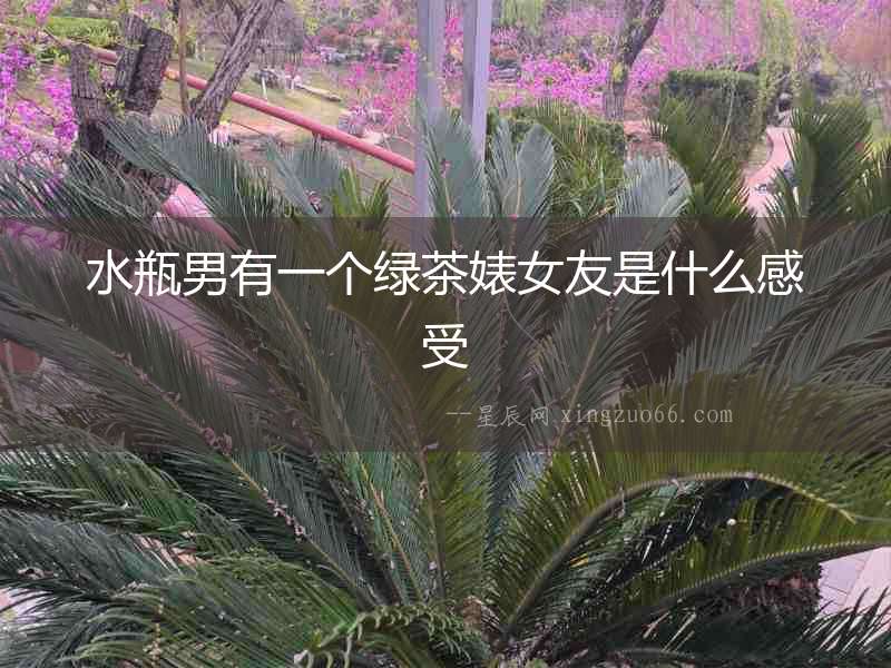 水瓶男有一個綠茶婊女友是什么感受