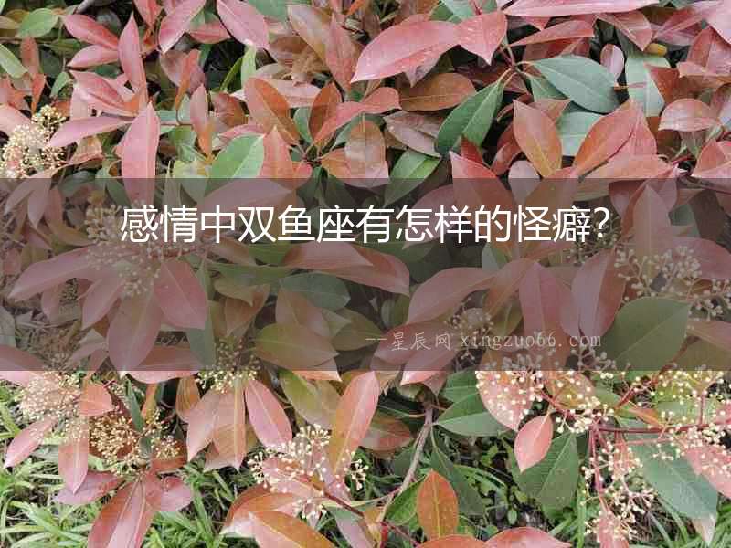 感情中雙魚座有怎樣的怪癖？