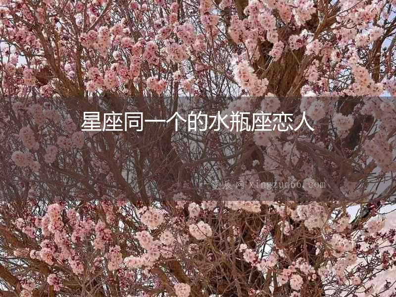 星座同一個的水瓶座戀人
