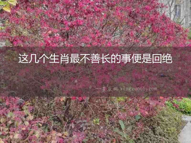 這幾個生肖最不善長的事便是回絕