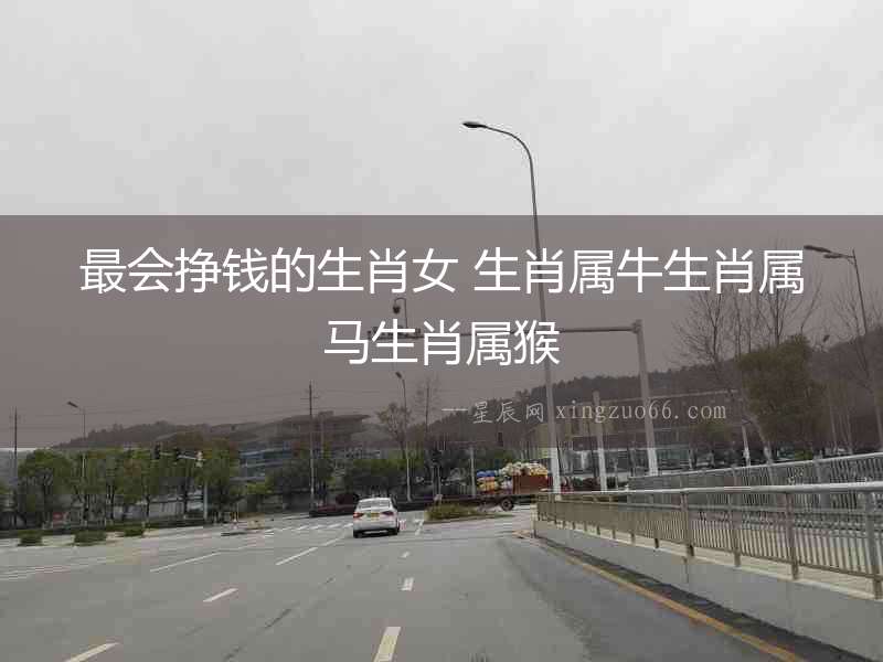 最會掙錢的生肖女 生肖屬牛生肖屬馬生肖屬猴