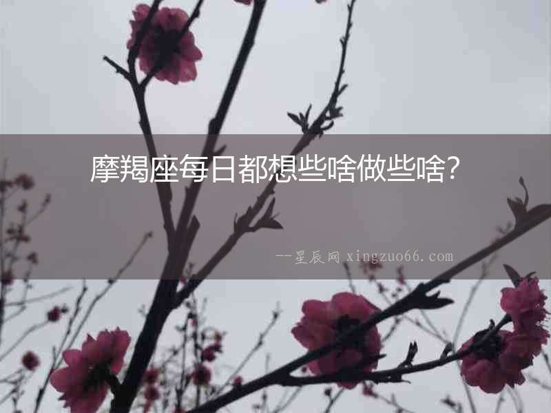 摩羯座每日都想些啥做些啥？