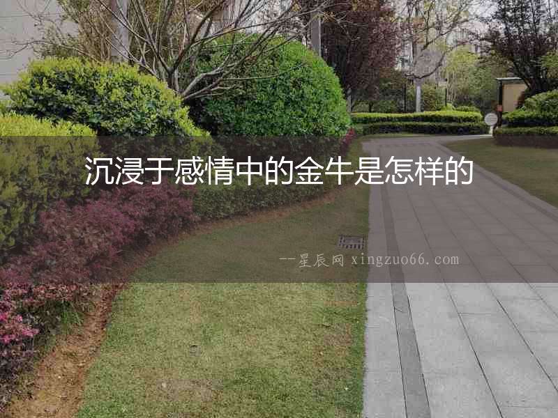 沉浸于感情中的金牛是怎樣的