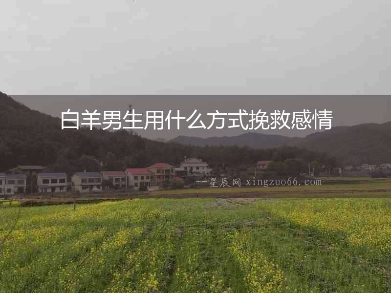 白羊男生用什么方式挽救感情