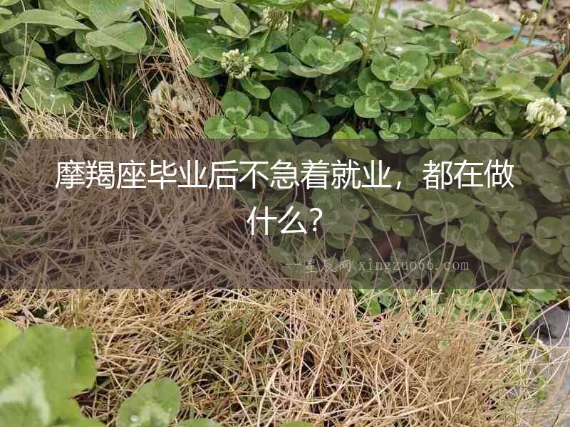 摩羯座畢業后不急著就業，都在做什么？