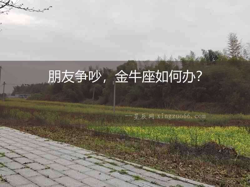 朋友爭吵，金牛座如何辦？