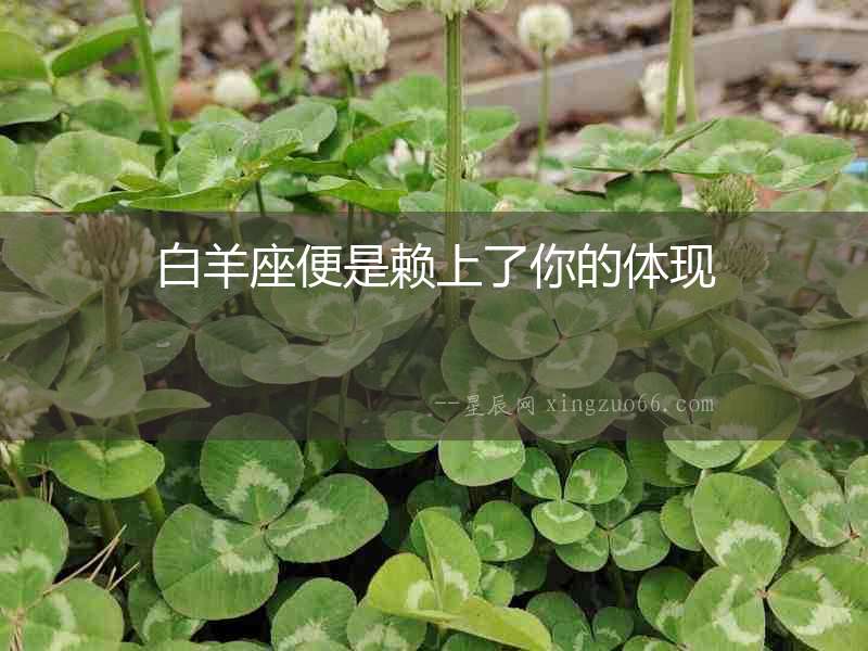 白羊座便是賴上了你的體現