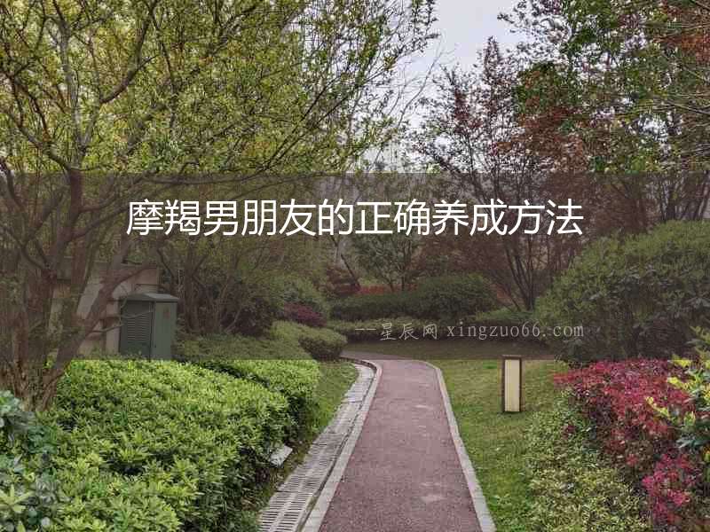摩羯男朋友的正確養成方法