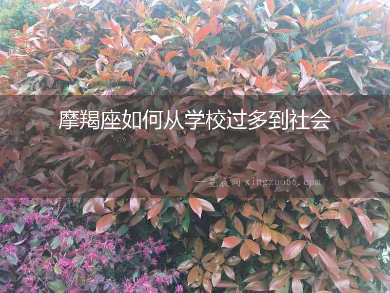 摩羯座如何從學(xué)校過多到社會