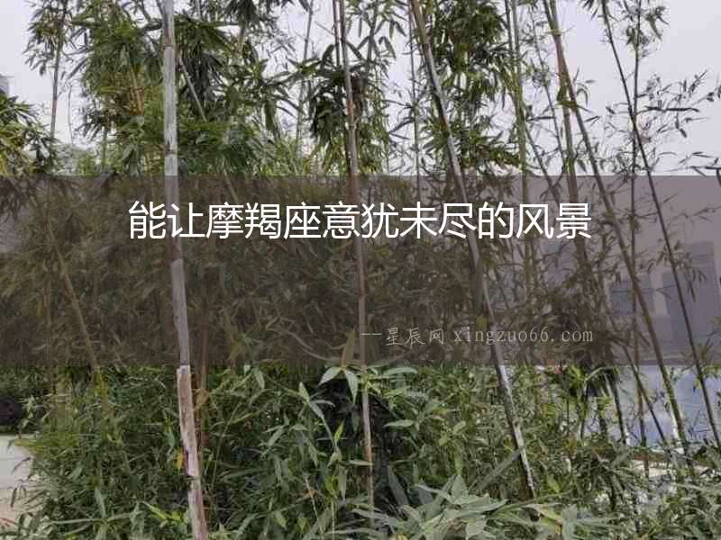 能讓摩羯座意猶未盡的風(fēng)景