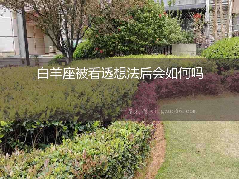 白羊座被看透想法后會如何嗎
